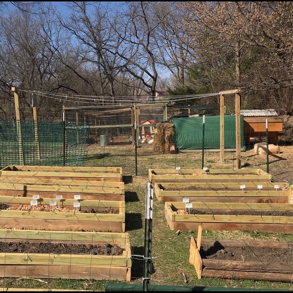 Meet your Posher, Jacqueline - Picture 4 of 8